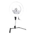 Impressions Vanity 13.5-INCH DESKTOP DIMMABLE LED VANITY STUDIO RING LIGHT WITH STAND, BAG AND ACCESSORIES